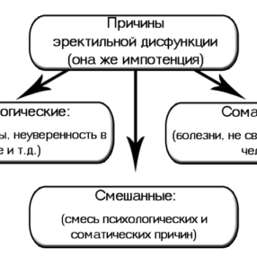 Методы лечения и профилактики эректильной дисфункции Методы лечения и профилактики эректильной дисфункции