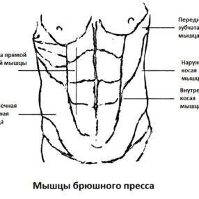 Как обрести здоровье и правильно накачать мышцы в домашних условиях